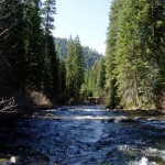 Goose Creek on hot springs property